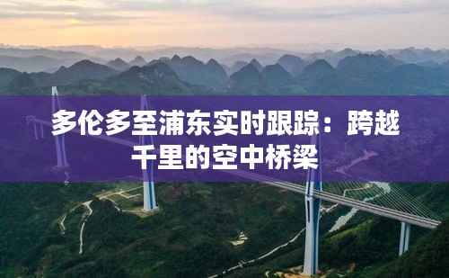 多伦多至浦东实时跟踪:跨越千里的空中桥梁