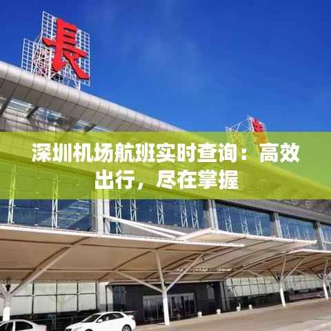 深圳机场航班实时查询：高效出行，尽在掌握