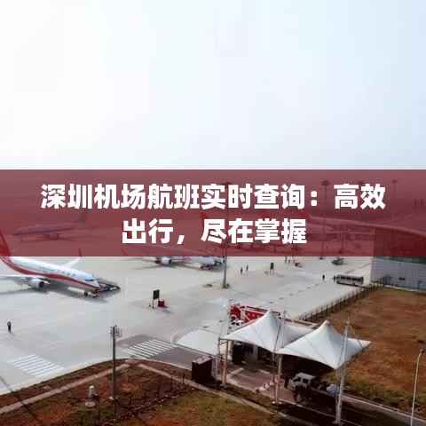 深圳机场航班实时查询:高效出行,尽在掌握