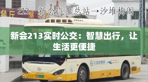 新会213实时公交：智慧出行，让生活更便捷