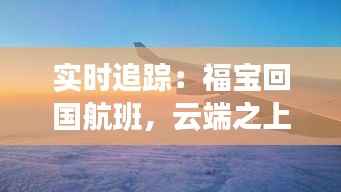 实时追踪：福宝回国航班，云端之上见证归乡之情