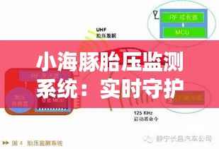 小海豚胎压监测系统：实时守护孕期安全