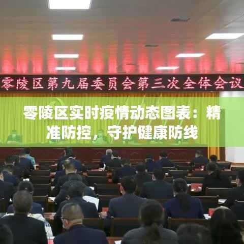 零陵区实时疫情动态图表：精准防控，守护健康防线
