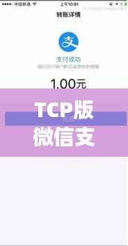 TCP版微信支付宝收款码实时生成的创新与优势