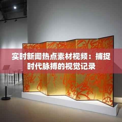 实时新闻热点素材视频:捕捉时代脉搏的视觉记录