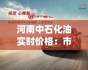 河南中石化油实时价格:市场动态与消费者洞察