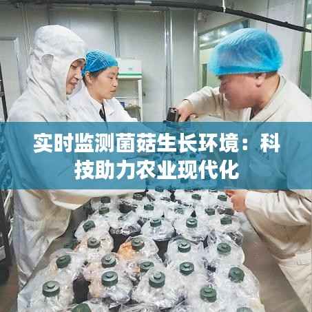 实时监测菌菇生长环境:科技助力农业现代化