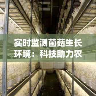 实时监测菌菇生长环境:科技助力农业现代化