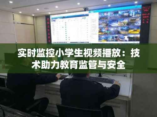 实时监控小学生视频播放:技术助力教育监管与安全