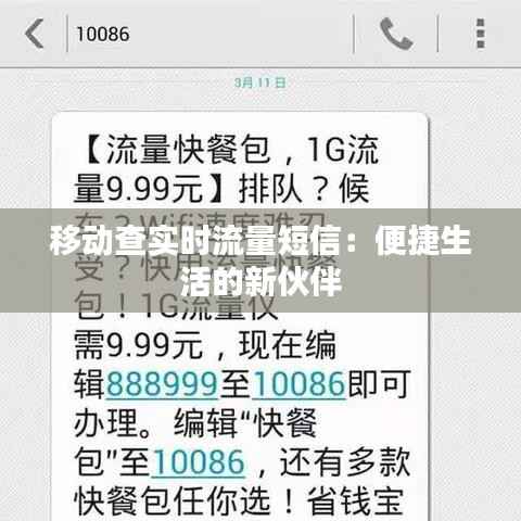 移动查实时流量短信：便捷生活的新伙伴