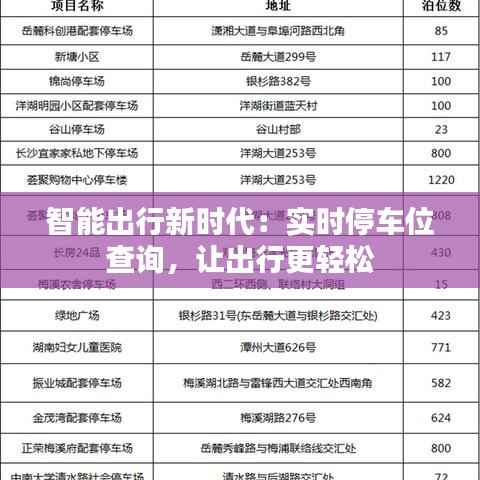 智能出行新时代:实时停车位查询,让出行更轻松