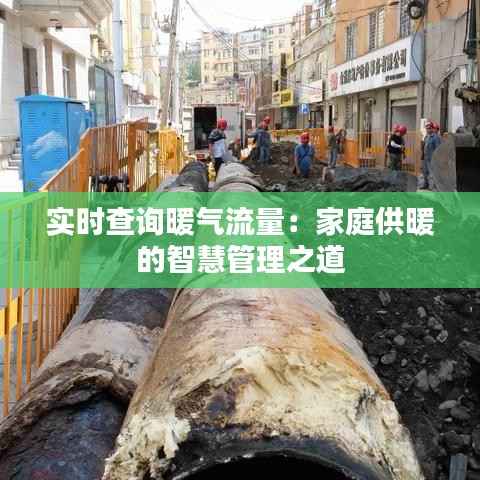 实时查询暖气流量:家庭供暖的智慧管理之道