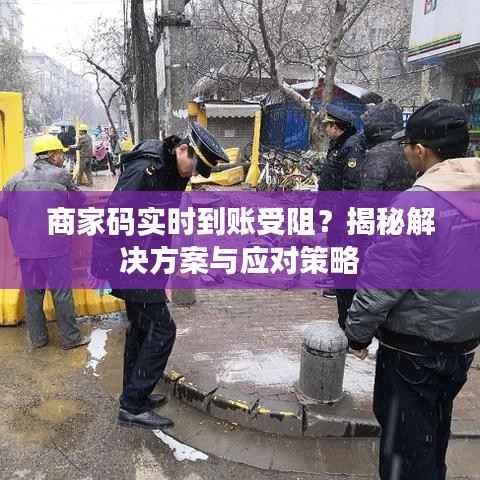 商家码实时到账受阻?揭秘解决方案与应对策略