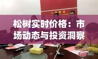 松树实时价格：市场动态与投资洞察