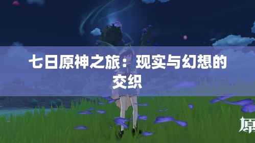 七日原神之旅:现实与幻想的交织