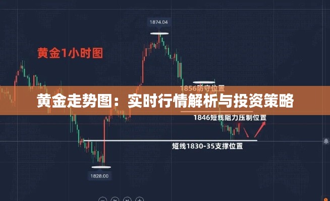 黄金走势图:实时行情解析与投资策略