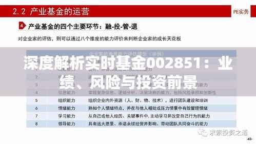 深度解析实时基金002851：业绩、风险与投资前景
