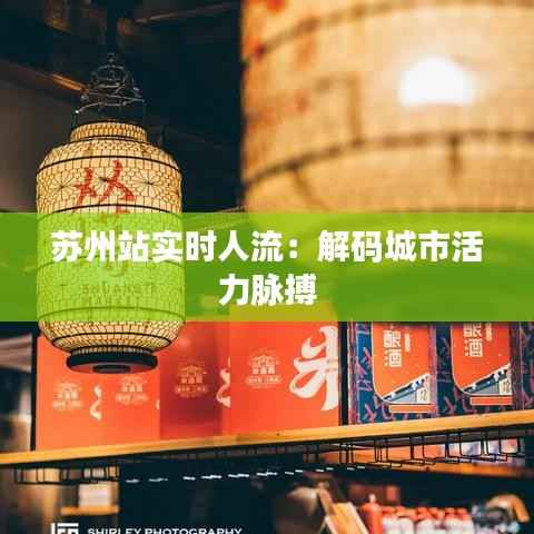 苏州站实时人流:解码城市活力脉搏