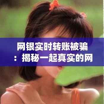 网银实时转账被骗：揭秘一起真实的网络诈骗案例