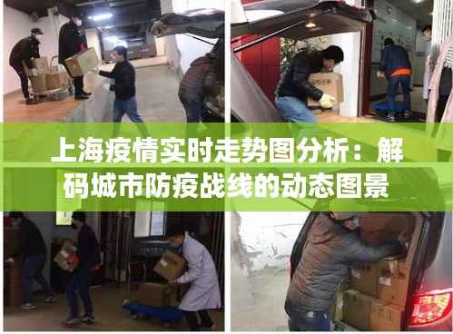 上海疫情实时走势图分析：解码城市防疫战线的动态图景