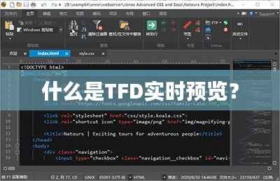 什么是TFD实时预览?