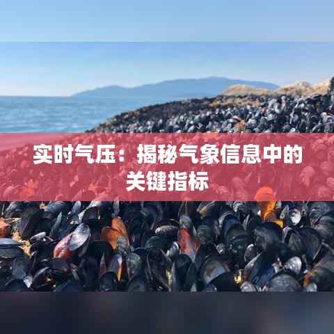 实时气压：揭秘气象信息中的关键指标