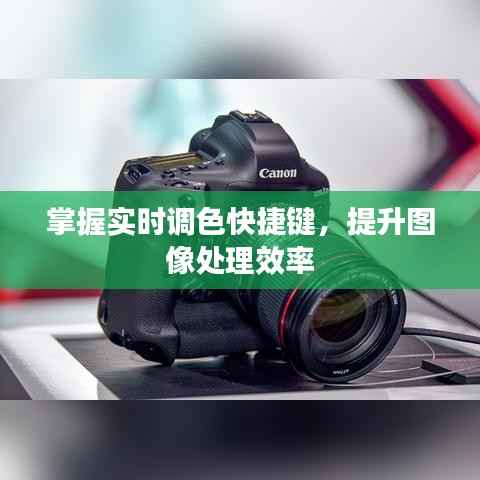 掌握实时调色快捷键,提升图像处理效率
