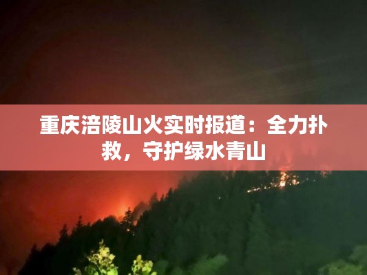 重庆涪陵山火实时报道:全力扑救,守护绿水青山