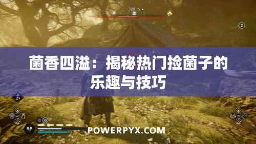 菌香四溢：揭秘热门捡菌子的乐趣与技巧