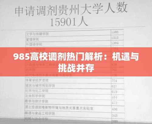 985高校调剂热门解析：机遇与挑战并存
