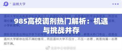 985高校调剂热门解析:机遇与挑战并存