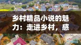 乡村精品小说的魅力：走进乡村，感受生活的诗意