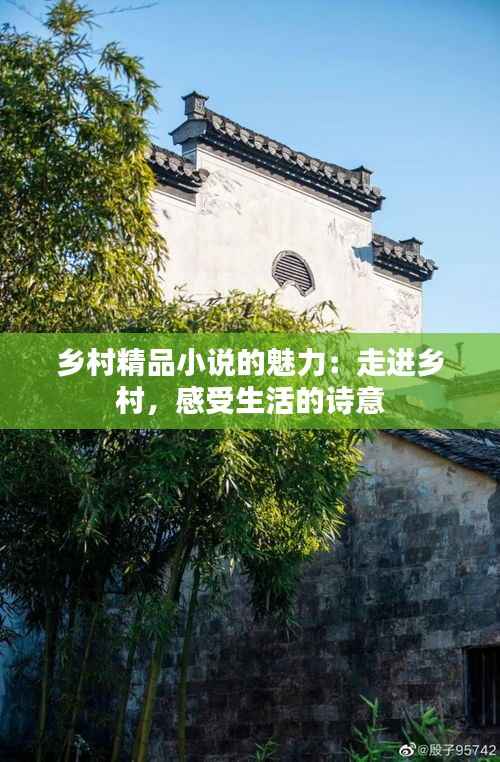 乡村精品小说的魅力:走进乡村,感受生活的诗意