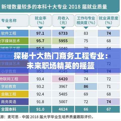 探秘十大热门商务工程专业:未来职场精英的摇篮