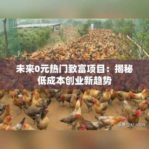 未来0元热门致富项目：揭秘低成本创业新趋势