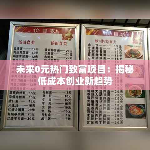 未来0元热门致富项目:揭秘低成本创业新趋势