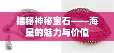 揭秘神秘宝石——海星的魅力与价值