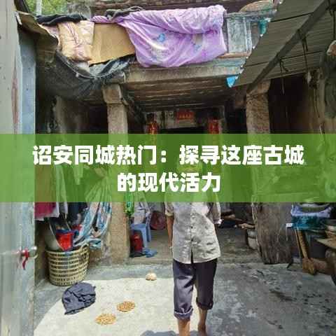 诏安同城热门：探寻这座古城的现代活力