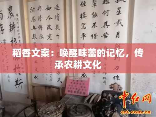 稻香文案:唤醒味蕾的记忆,传承农耕文化