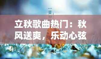 立秋歌曲热门:秋风送爽,乐动心弦