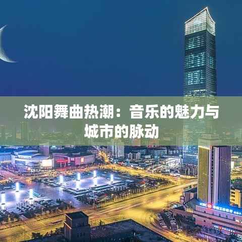 沈阳舞曲热潮:音乐的魅力与城市的脉动