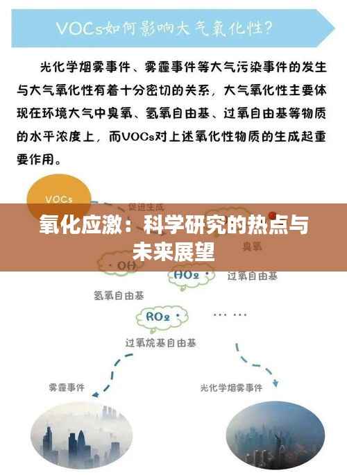 氧化应激:科学研究的热点与未来展望