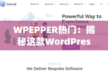 WPEPPER热门:揭秘这款WordPress插件的风靡之谜