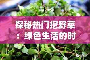 探秘热门挖野菜:绿色生活的时尚潮流