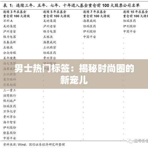 男士热门标签:揭秘时尚圈的新宠儿