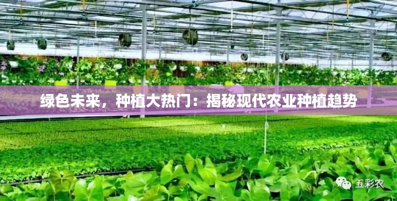 绿色未来，种植大热门：揭秘现代农业种植趋势