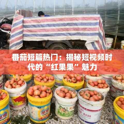 番茄短篇热门:揭秘短视频时代的“红果果”魅力