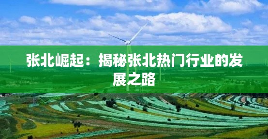 张北崛起:揭秘张北热门行业的发展之路