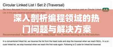 深入剖析编程领域的热门问题与解决方案