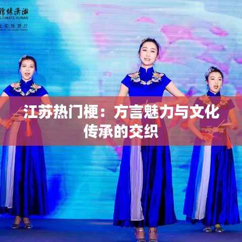 江苏热门梗：方言魅力与文化传承的交织